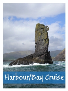Harbour Bay Cruise