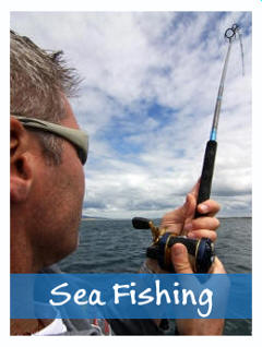 Sea Fishing